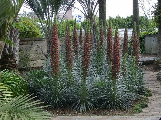 花开植物馆-大阪市必去景点