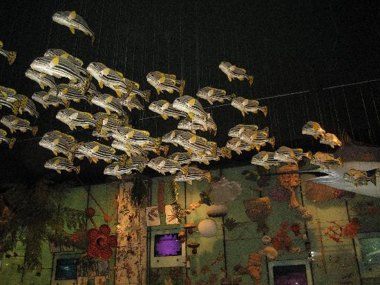 美国自然历史博物馆-纽约市必去景点