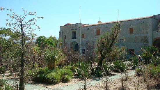 Jardin Etnobotanico de Oaxaca-瓦哈卡必去景点