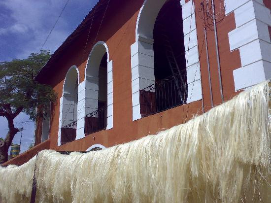 Hacienda Sotuta de Peon景点图片