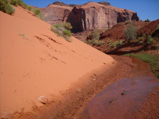 Roy Black's Guided Tours-纪念碑公园必去景点