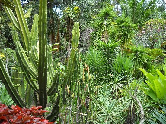 毛伊岛热带花园-怀露库必去景点
