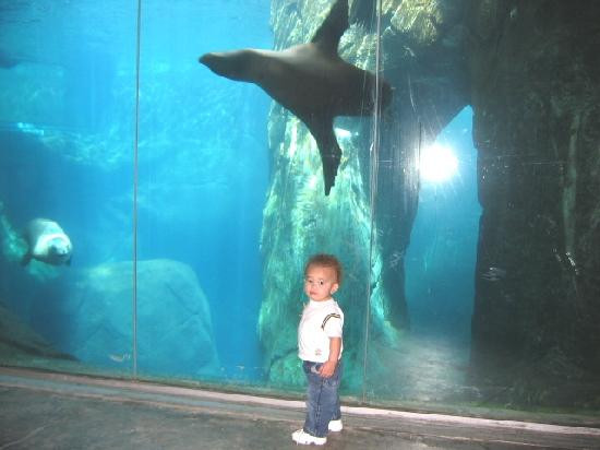 El Paso Zoo-埃尔帕索必去景点