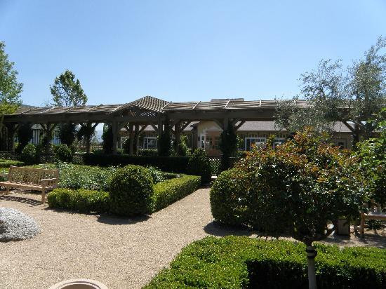 Ponte Winery-特曼库拉必去景点