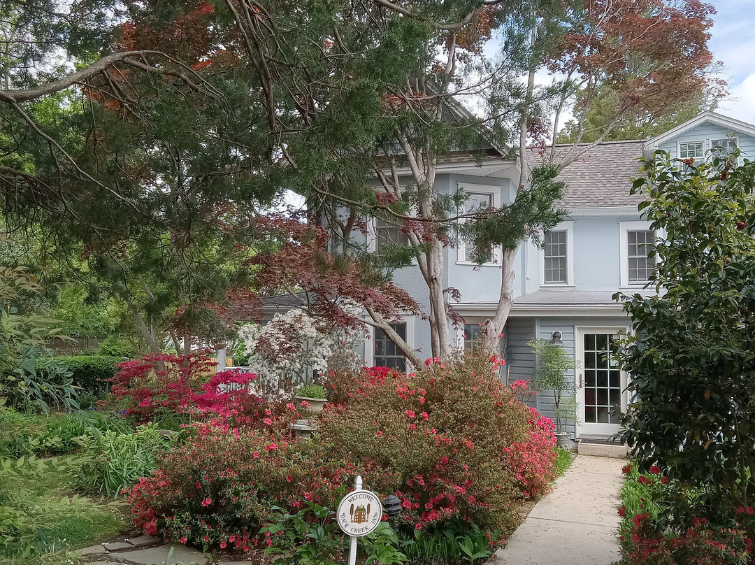 Back Creek Inn主图