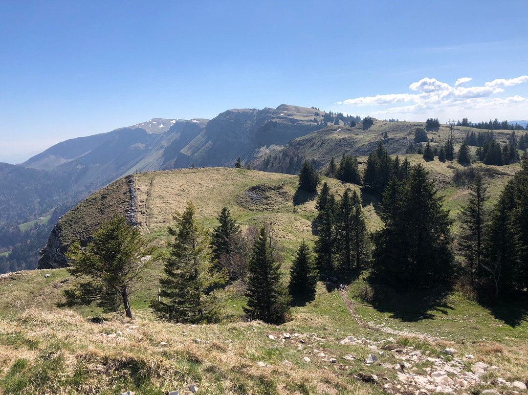 Réserve Naturelle de la Haute Chaîne du Jura景点图片