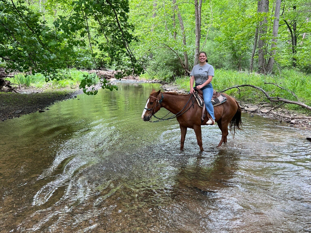 Rocking S Ranch-温切斯特必去景点