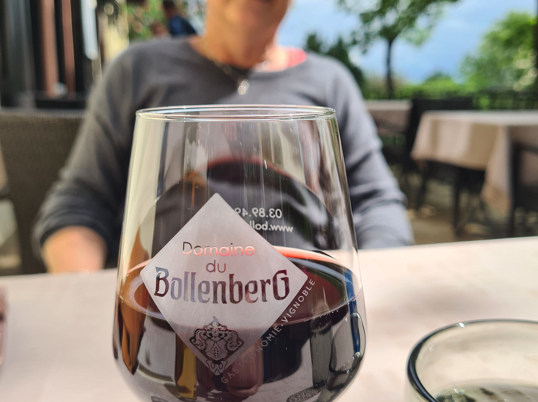 Domaine Du Bollenberg景点图片