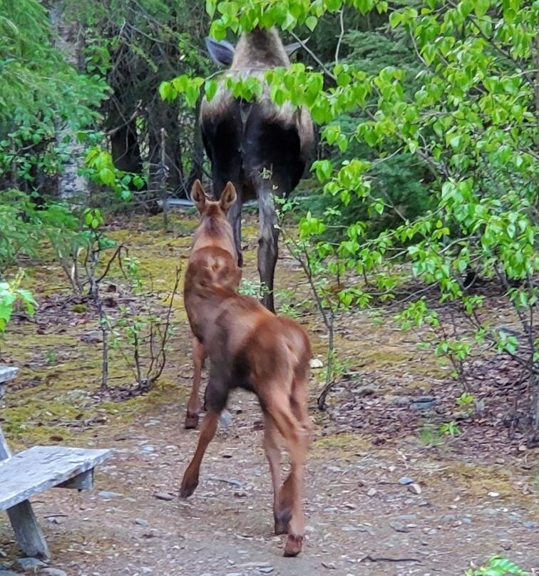 Hope's Hideaway, LLC主图