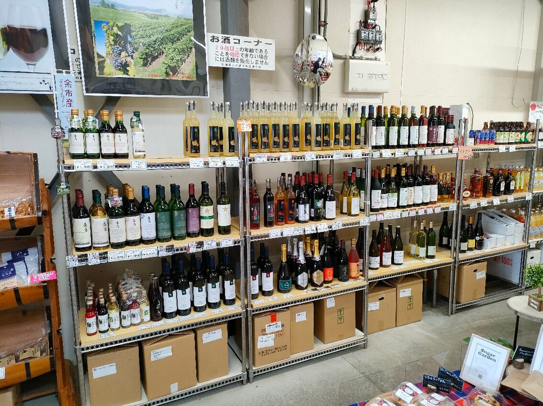 Space Apple Yoichi Michi-no-Eki-余市町必去景点