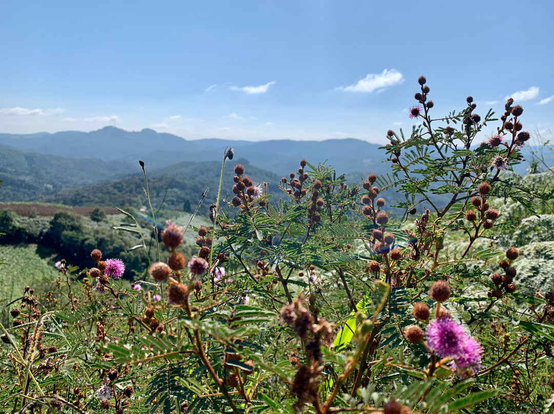 Morro da Palha景点图片