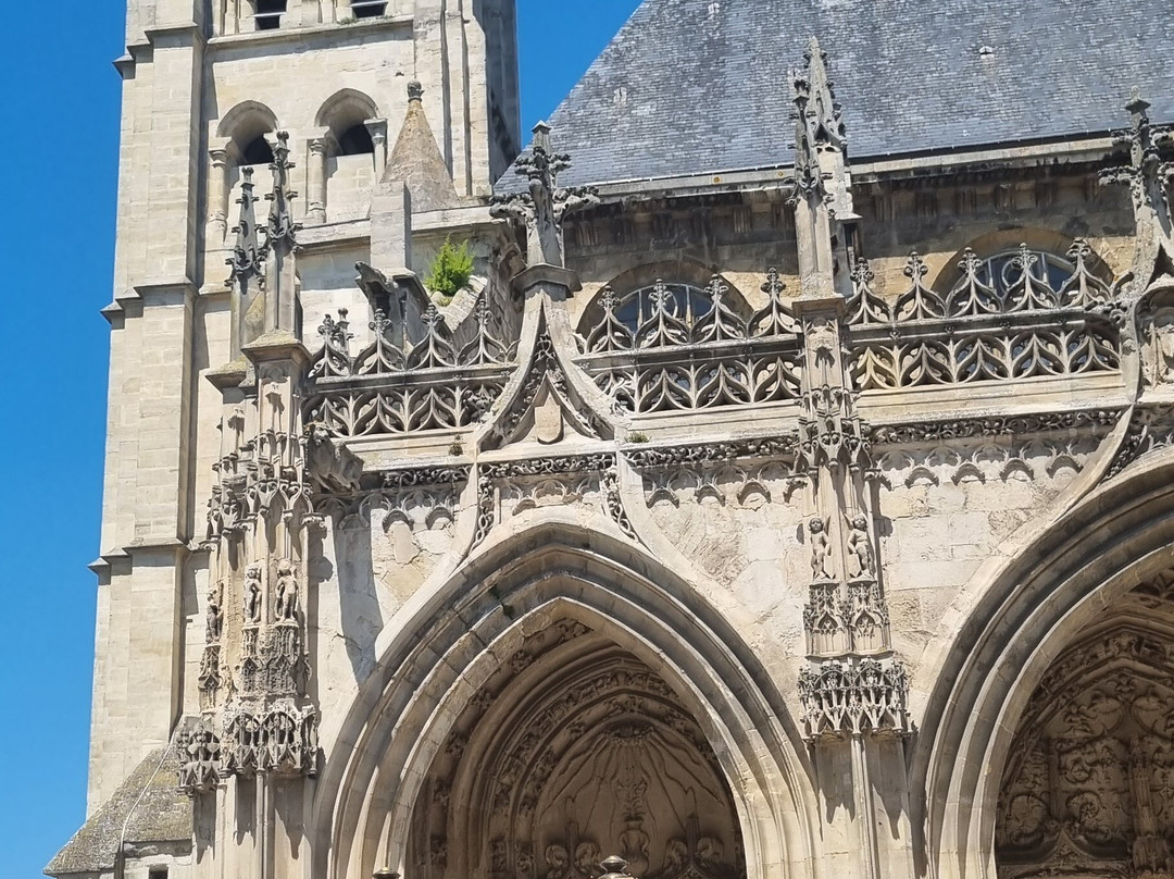 Collégiale Notre-Dame de Poissy景点图片