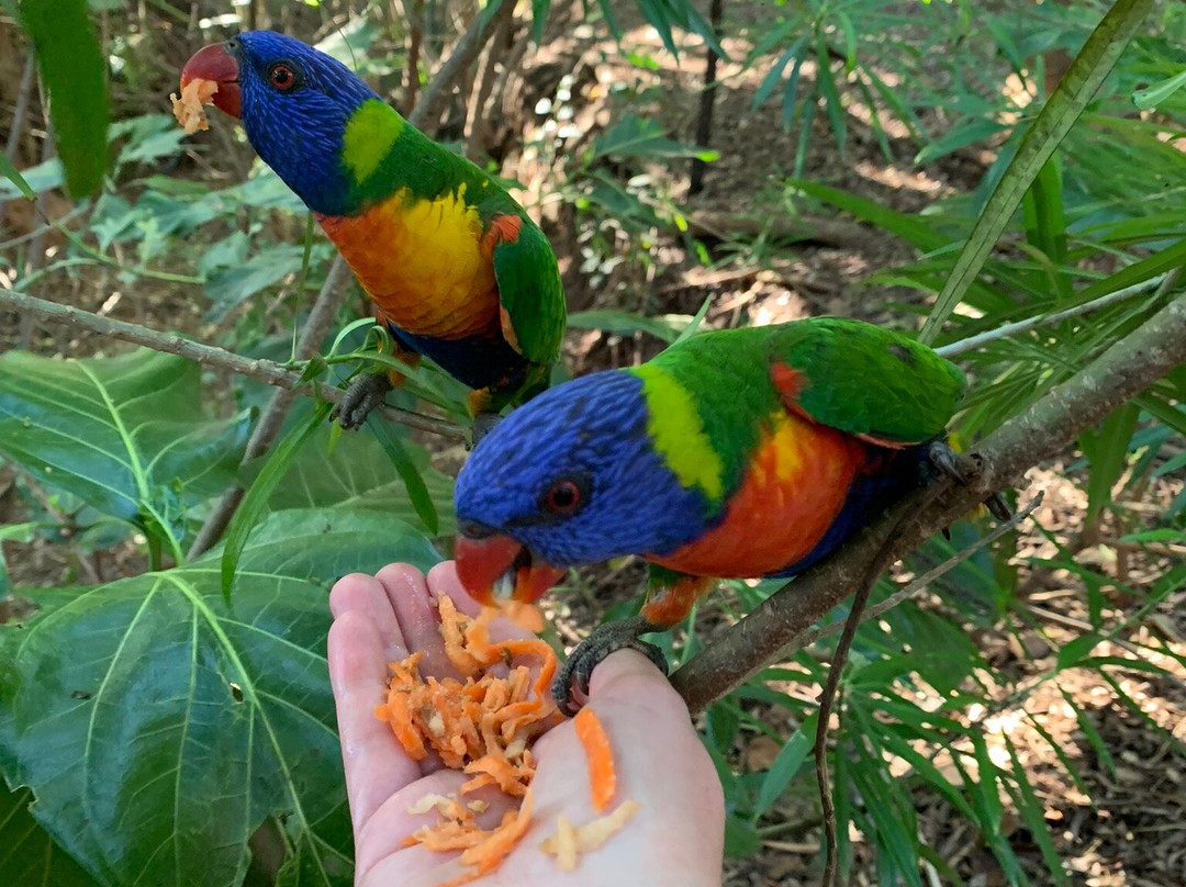 True North Bed & Breakfast主图