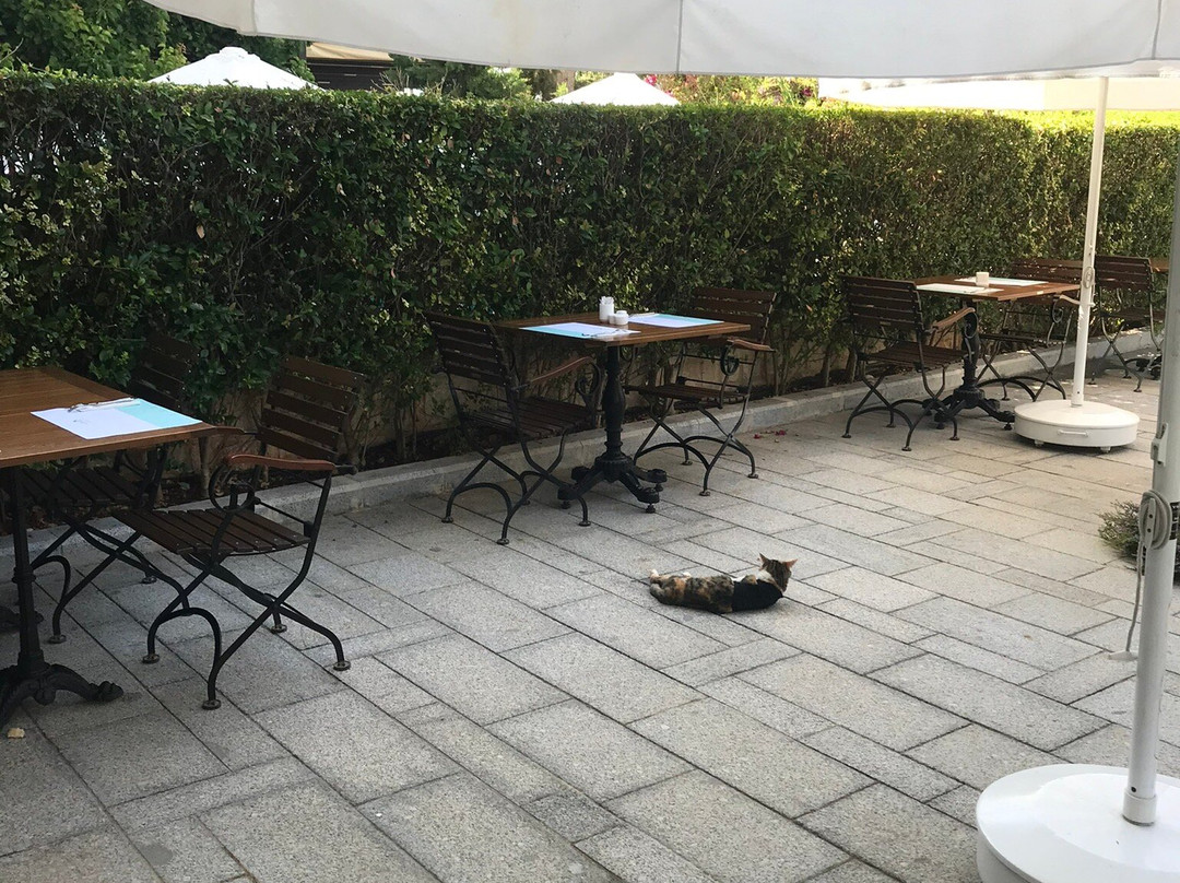 阿尔纳酒店主图