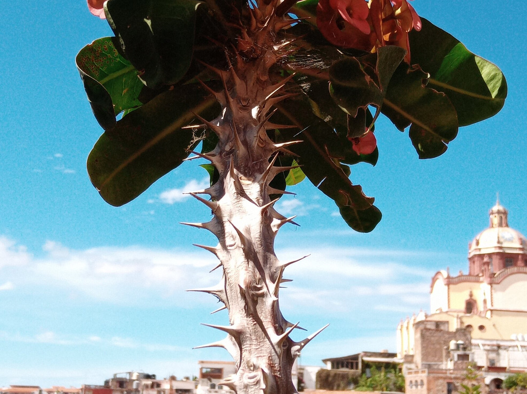 Posada de San Javier主图