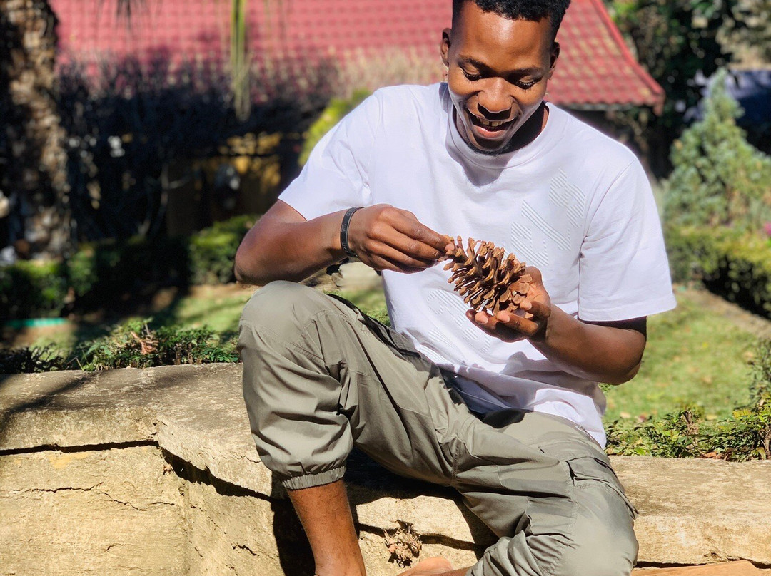 The Tuscan Garden主图