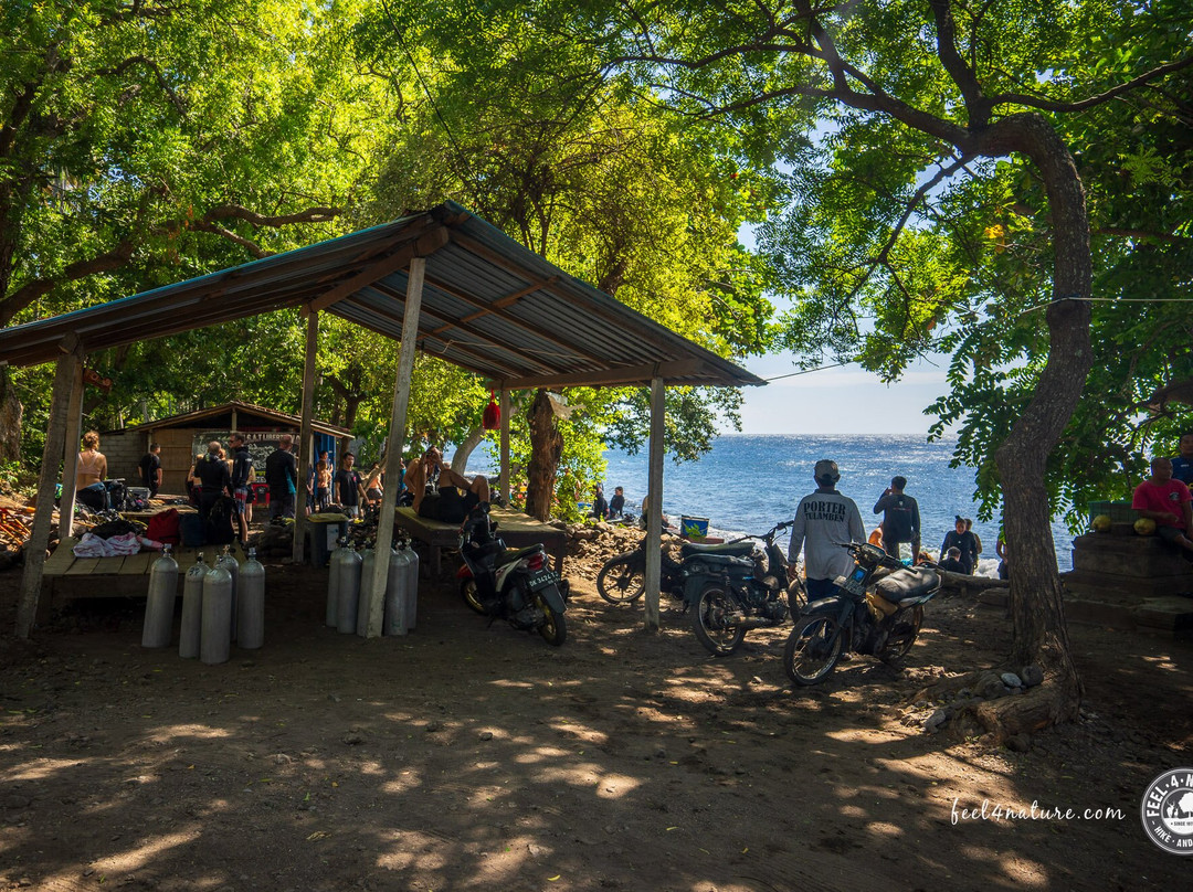 托奇码头图兰度假村&Spa主图