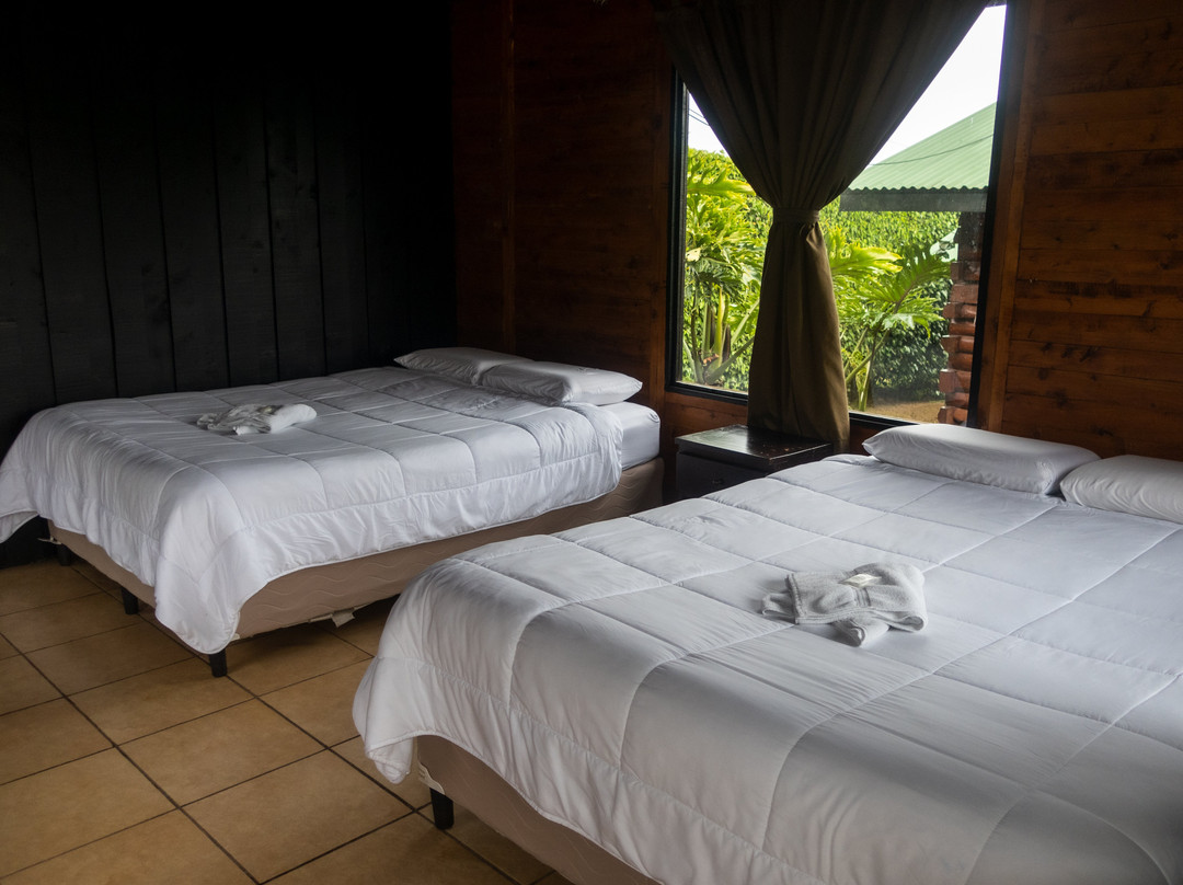 Grandpas Hotel主图