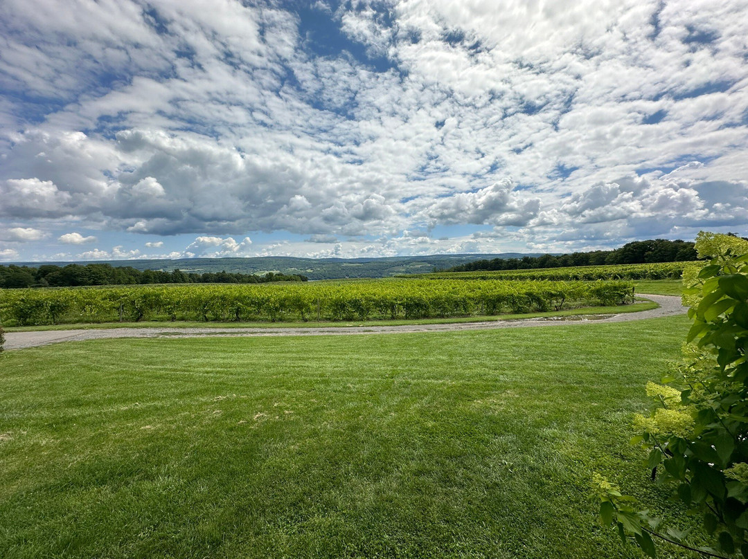 Lakewood Vineyards-沃特金斯格伦必去景点