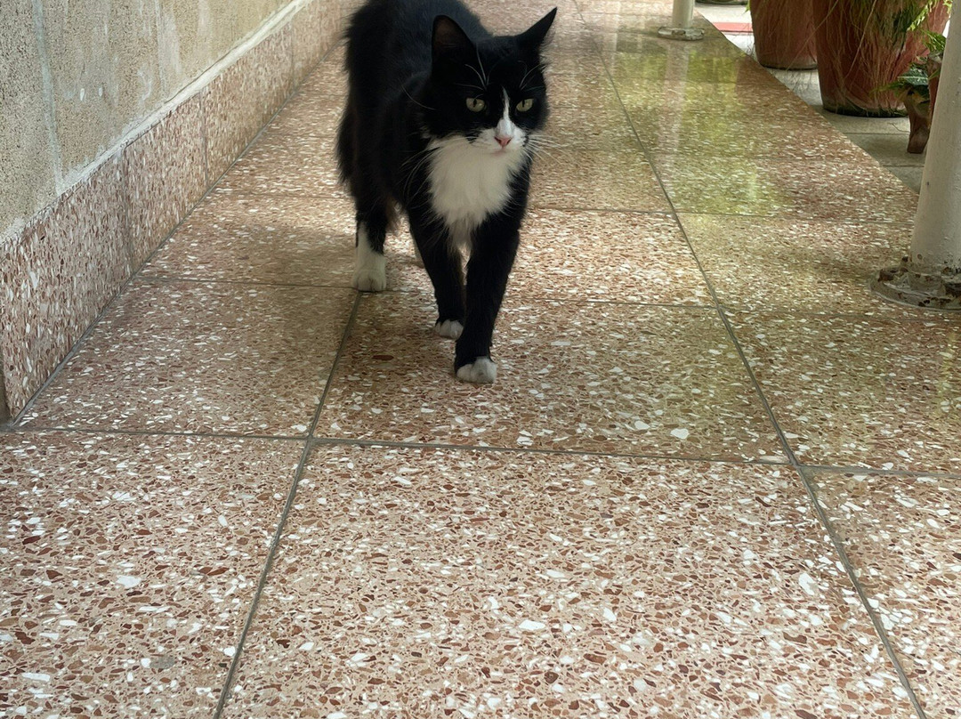 Hostal Paraiso主图