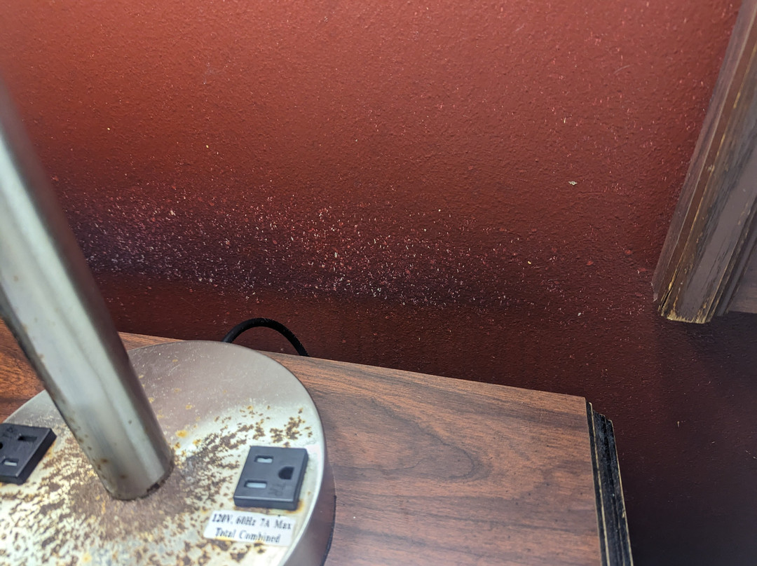 Red Roof Inn & Suites Wilson主图