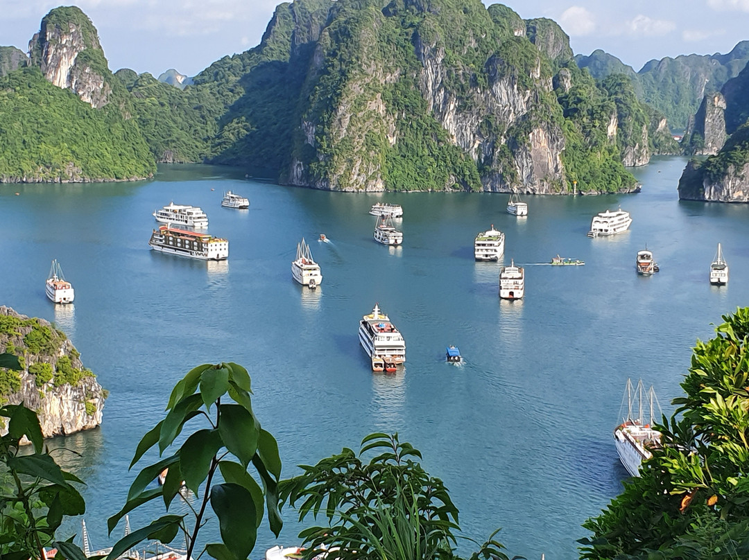 Le Journey Halong Bay Cruise - Travel Agency Group景点图片