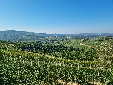Colline delle Langhe Patrimonio Unesco-Province of Asti必去景点