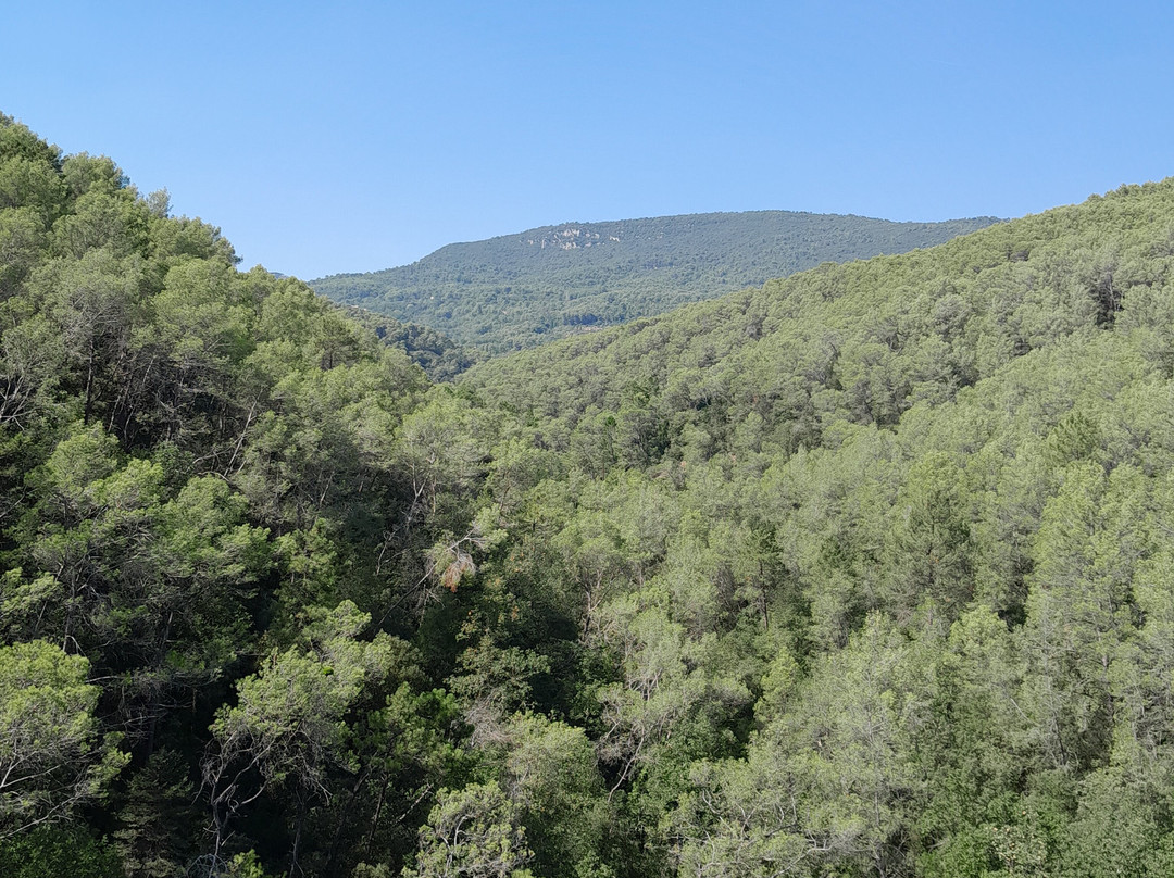 Le Vallon de Bargemon主图