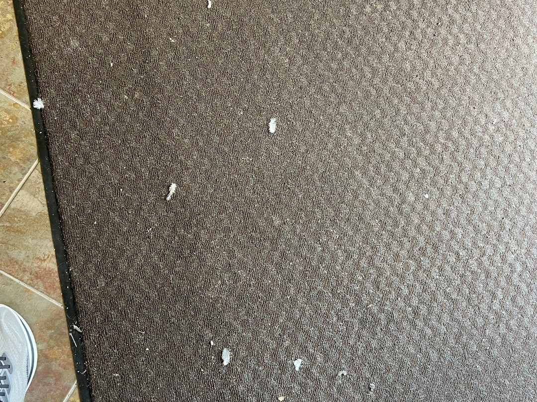 Comfort Inn Owatonna Near Medical Center主图