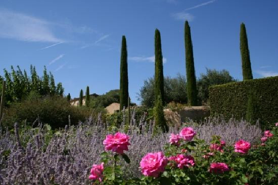 Château Val-Joanis景点图片
