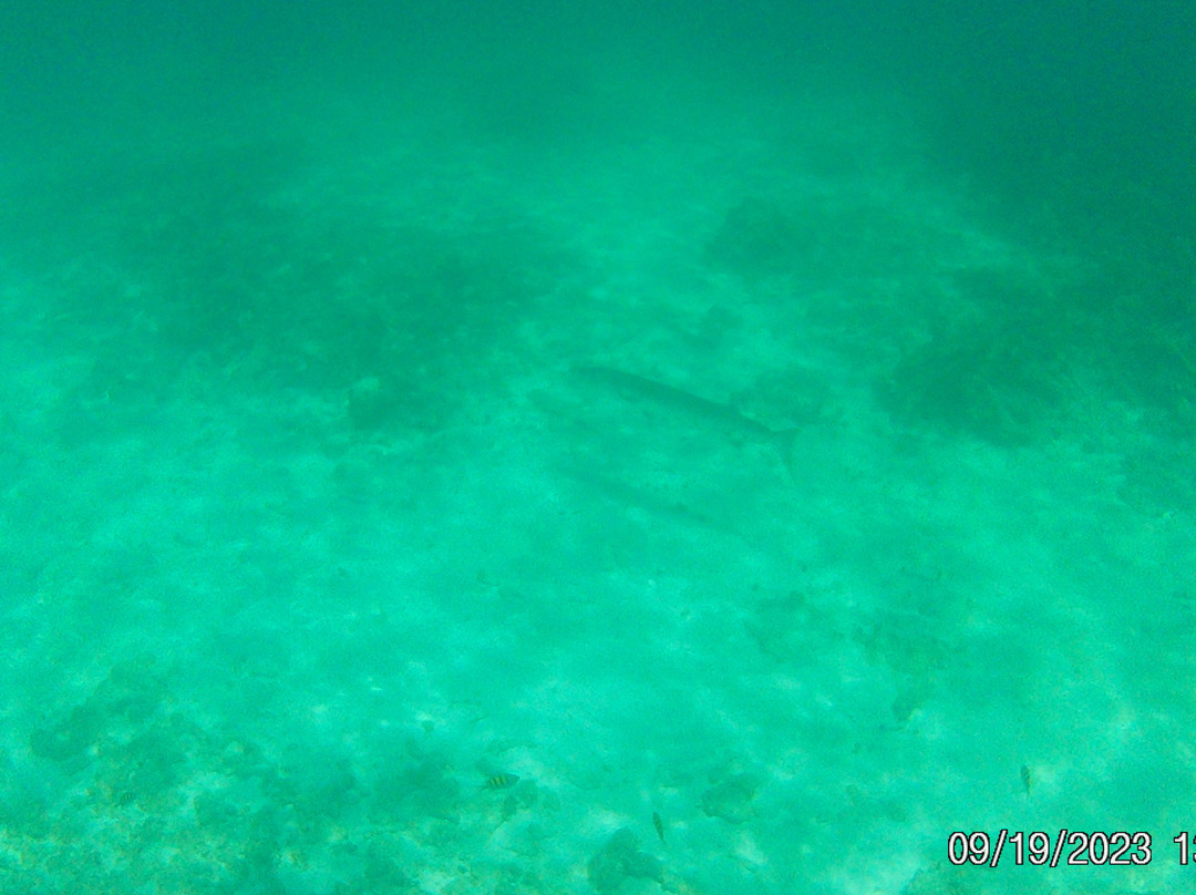 Christ of the Deep-拉哥岛必去景点