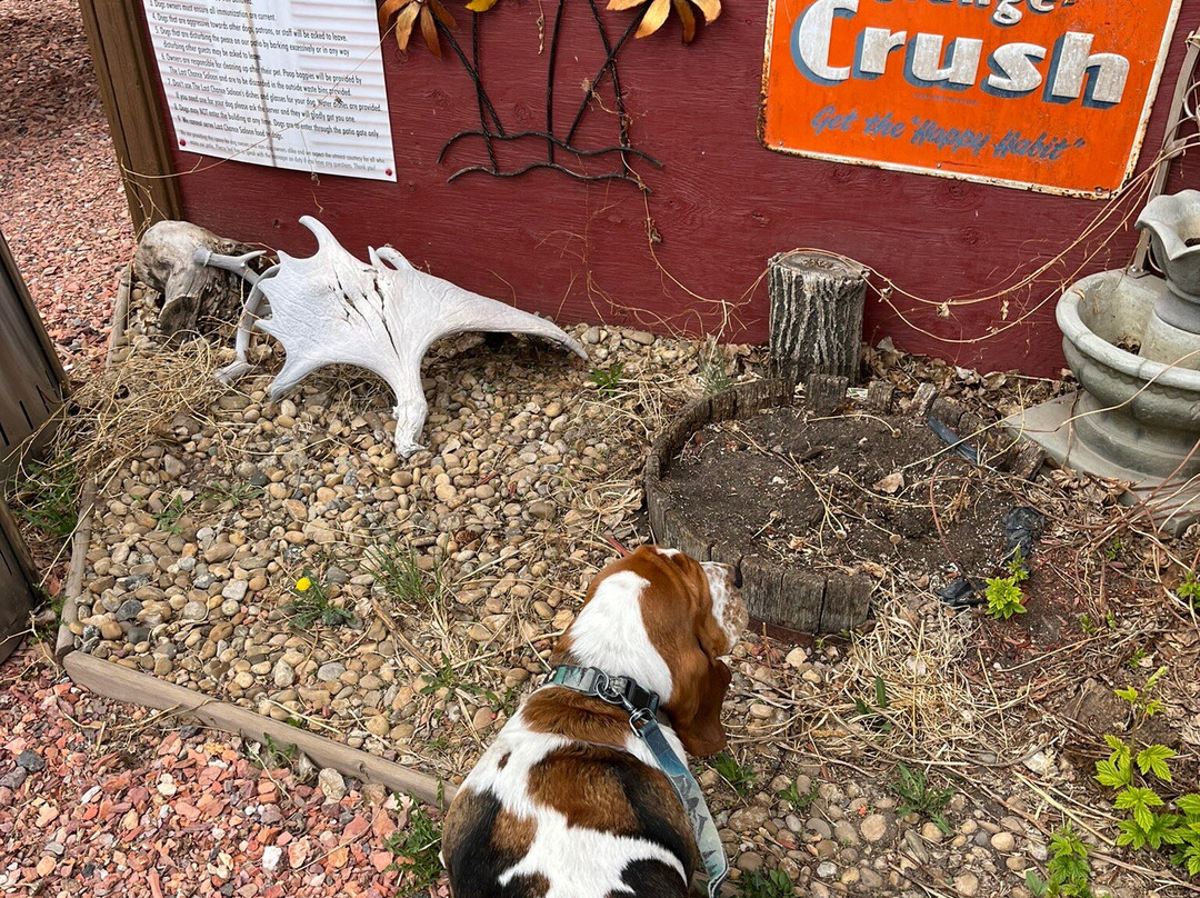 Wayne-德兰赫勒必去景点