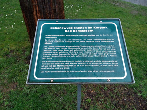 Südpfalz Therme-Bad Bergzabern必去景点