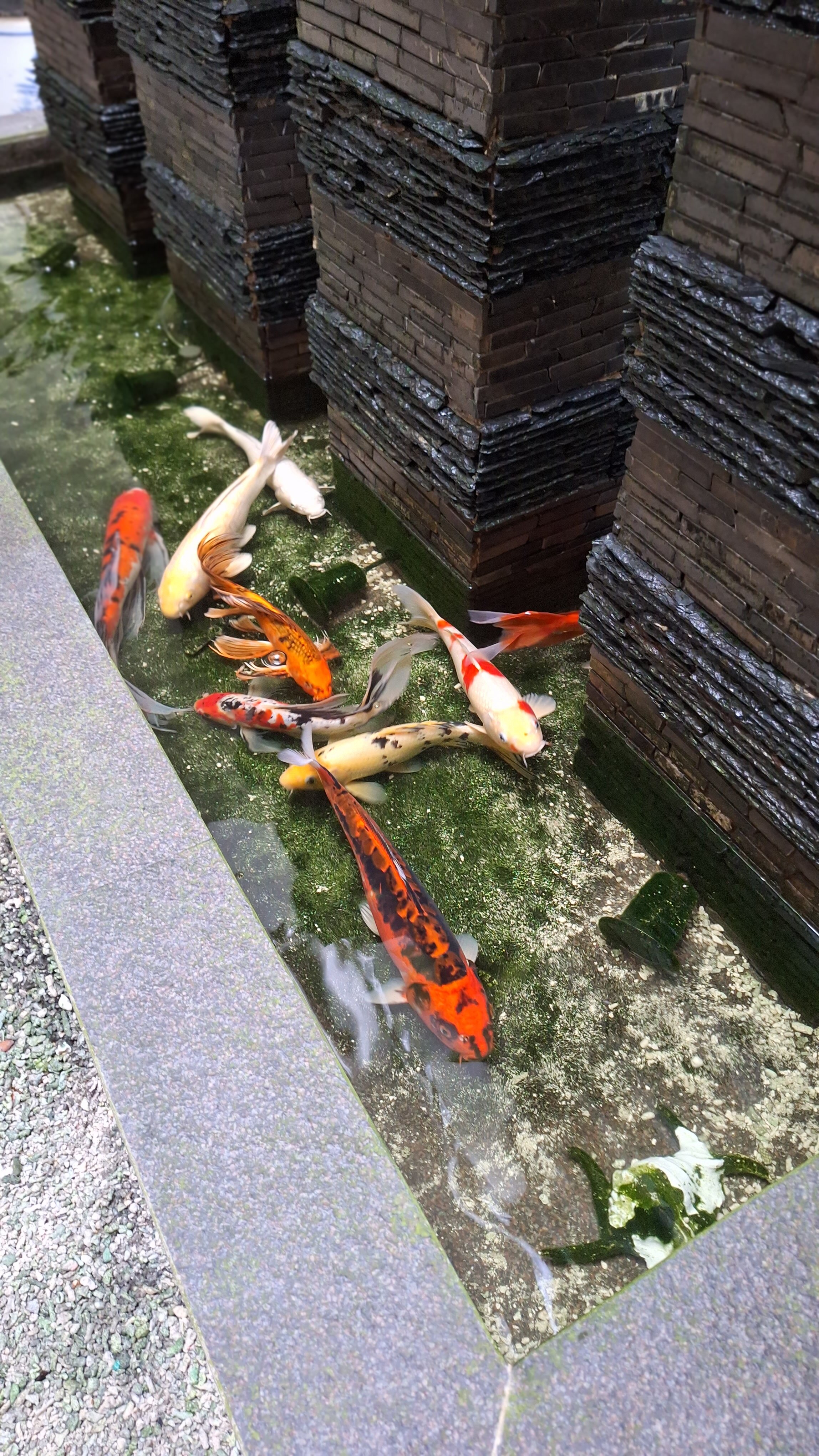 水晶金沙酒店-浴室