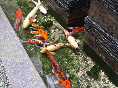 水晶金沙酒店主图