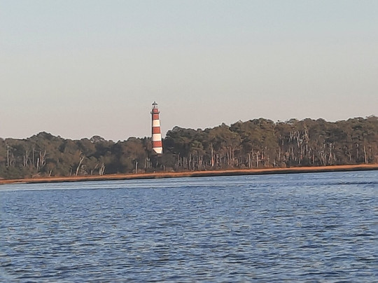 Assateague Explorer Wildlife Cruises-钦科蒂格岛必去景点