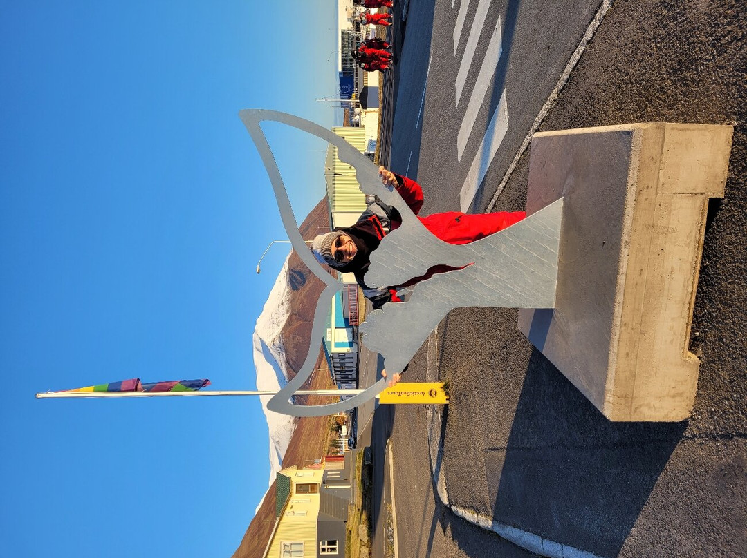 Arctic Sea Tours Whale Watching-Dalvik必去景点