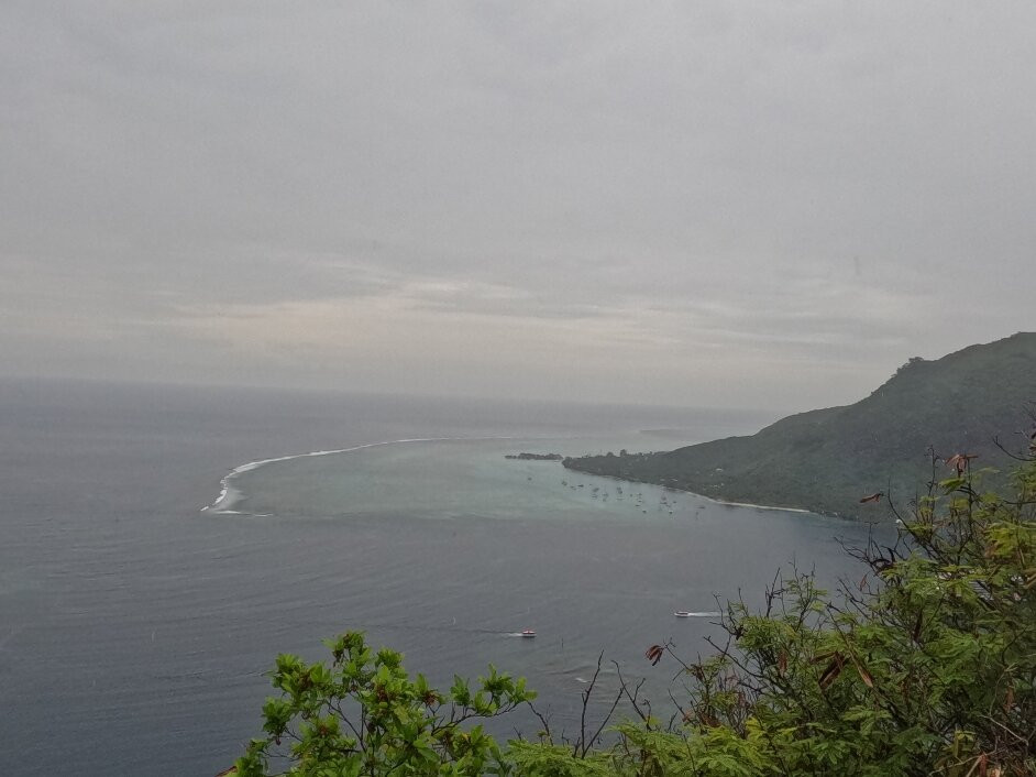 Top Jet & Quad Moorea-Temae必去景点