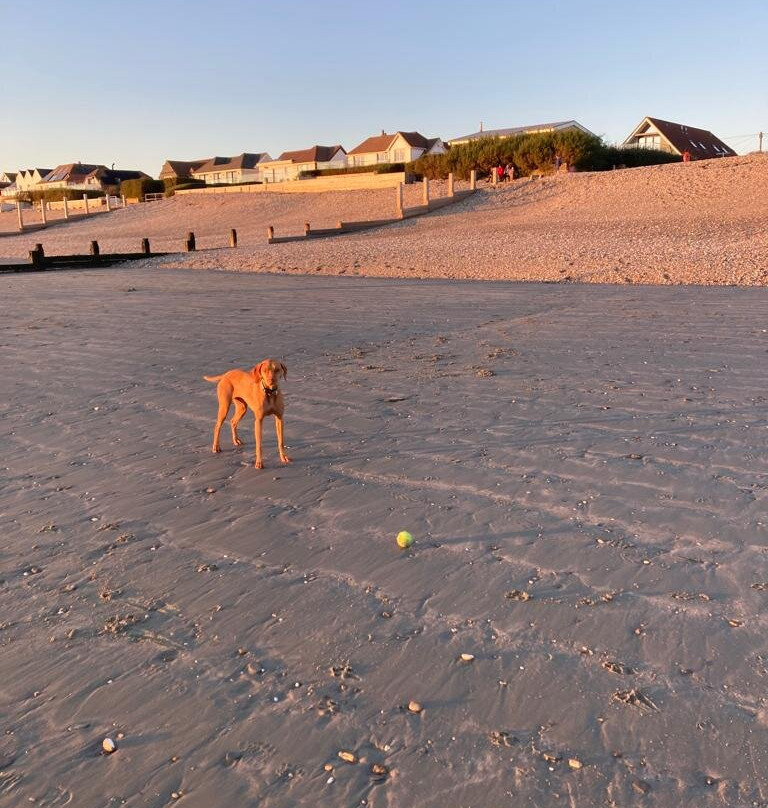 East Wittering Beach景点图片
