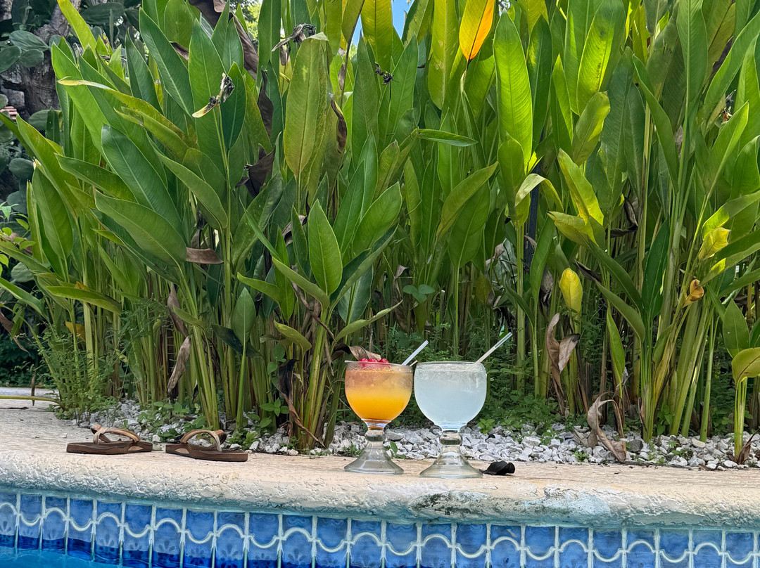 The Grateful Hotel主图