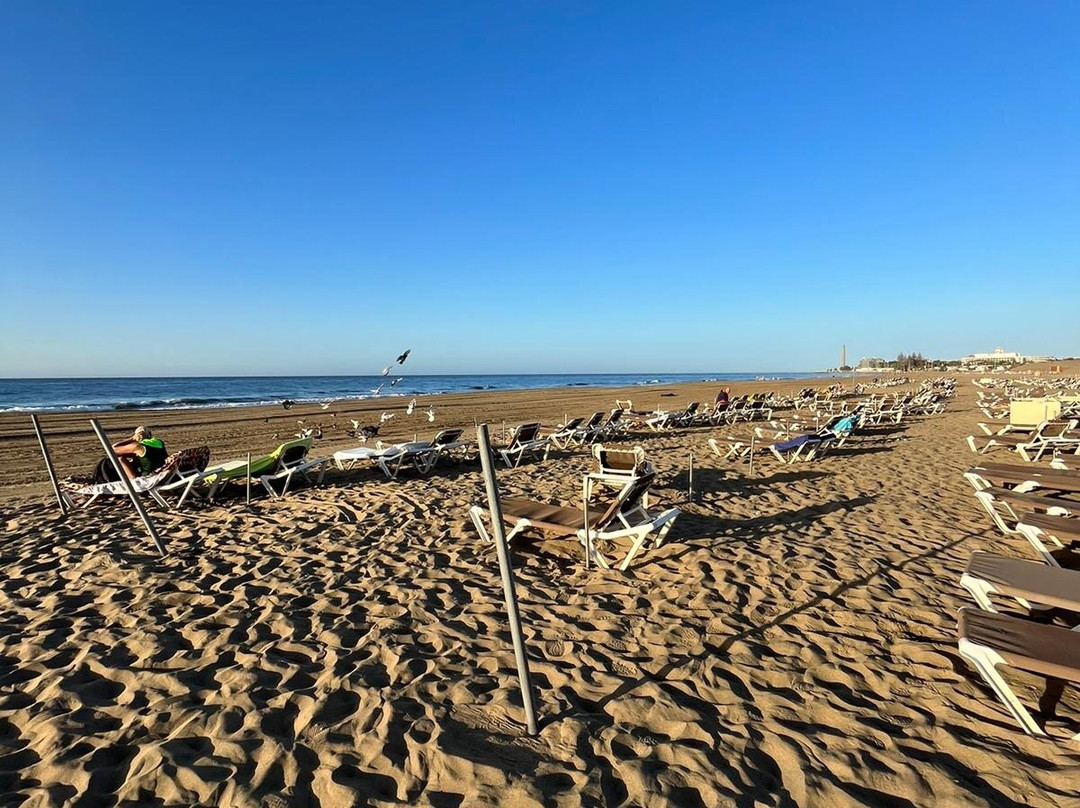 Kiosco Beach No 7景点图片