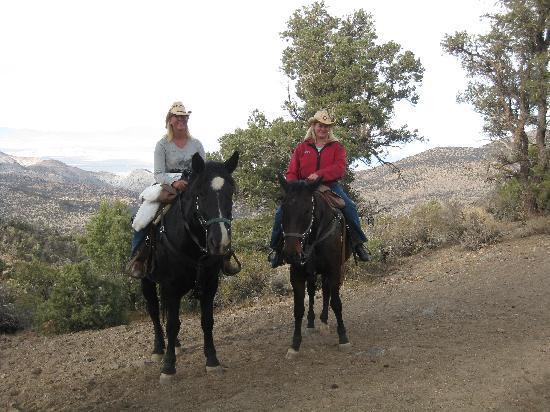 Baldwin Lake Stables-大熊湖必去景点
