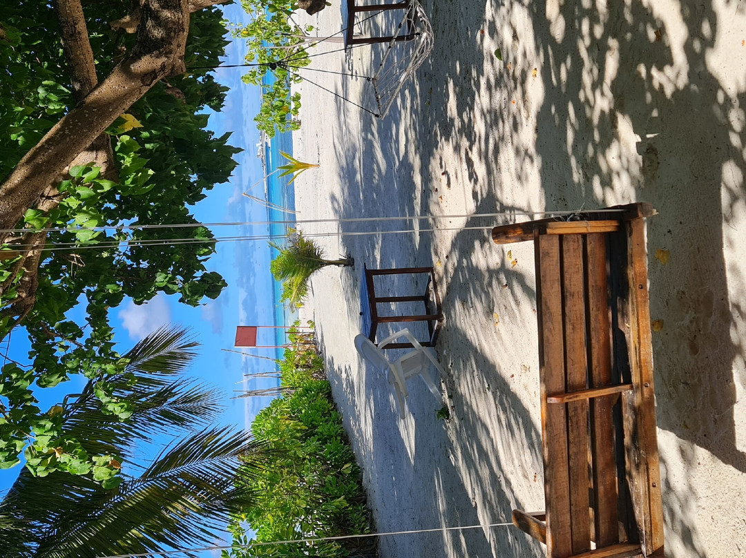 Seginy Seaview主图