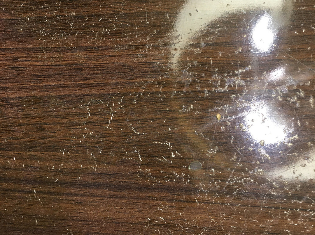 Comfort Suites at Isle of Palms Connector主图