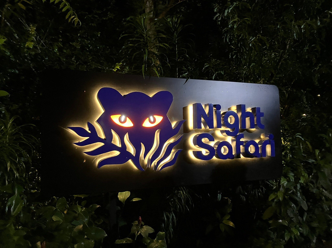 夜间野生动物园景点图片