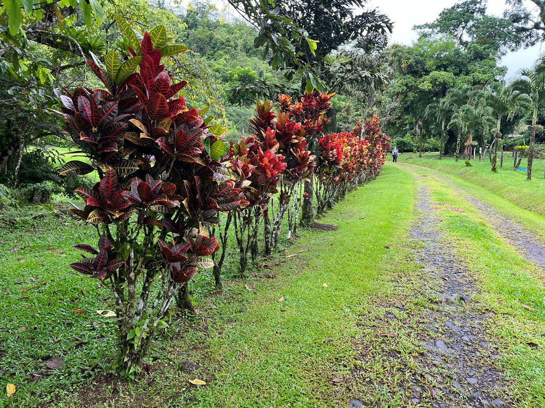 Mei Tai Cacao Lodge主图