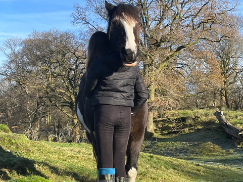 Full circle experiences-安布赛德必去景点