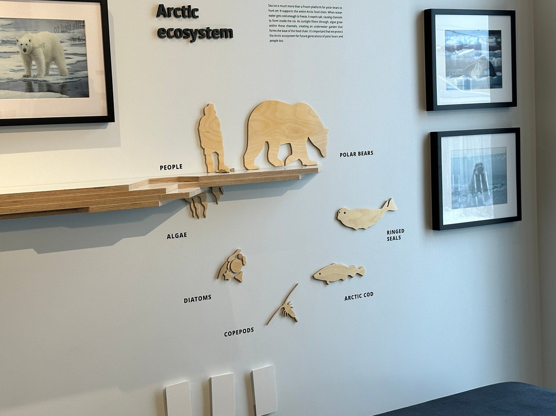 Polar Bears International-丘吉尔必去景点