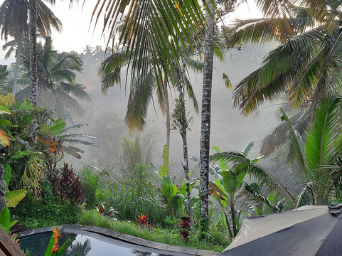 Tour Bali island-登巴萨必去景点