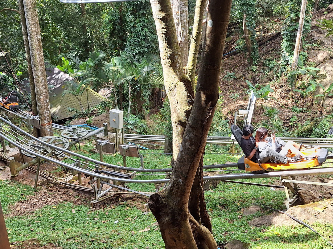 Pongyang Zipline and Jungle Coaster-清迈必去景点